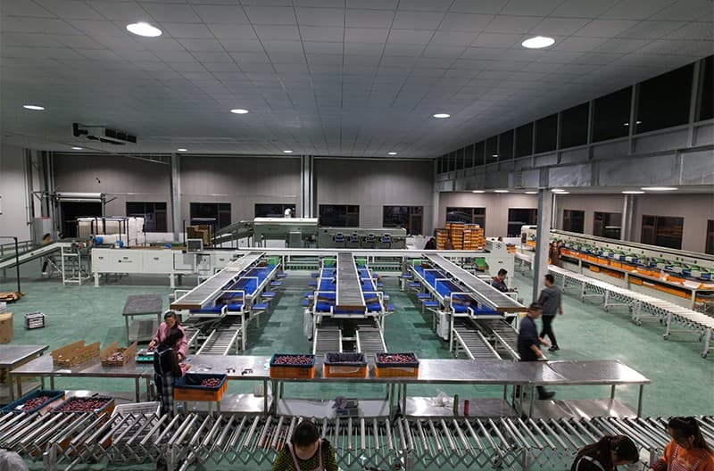 images/1669883673752plum grader.jpg